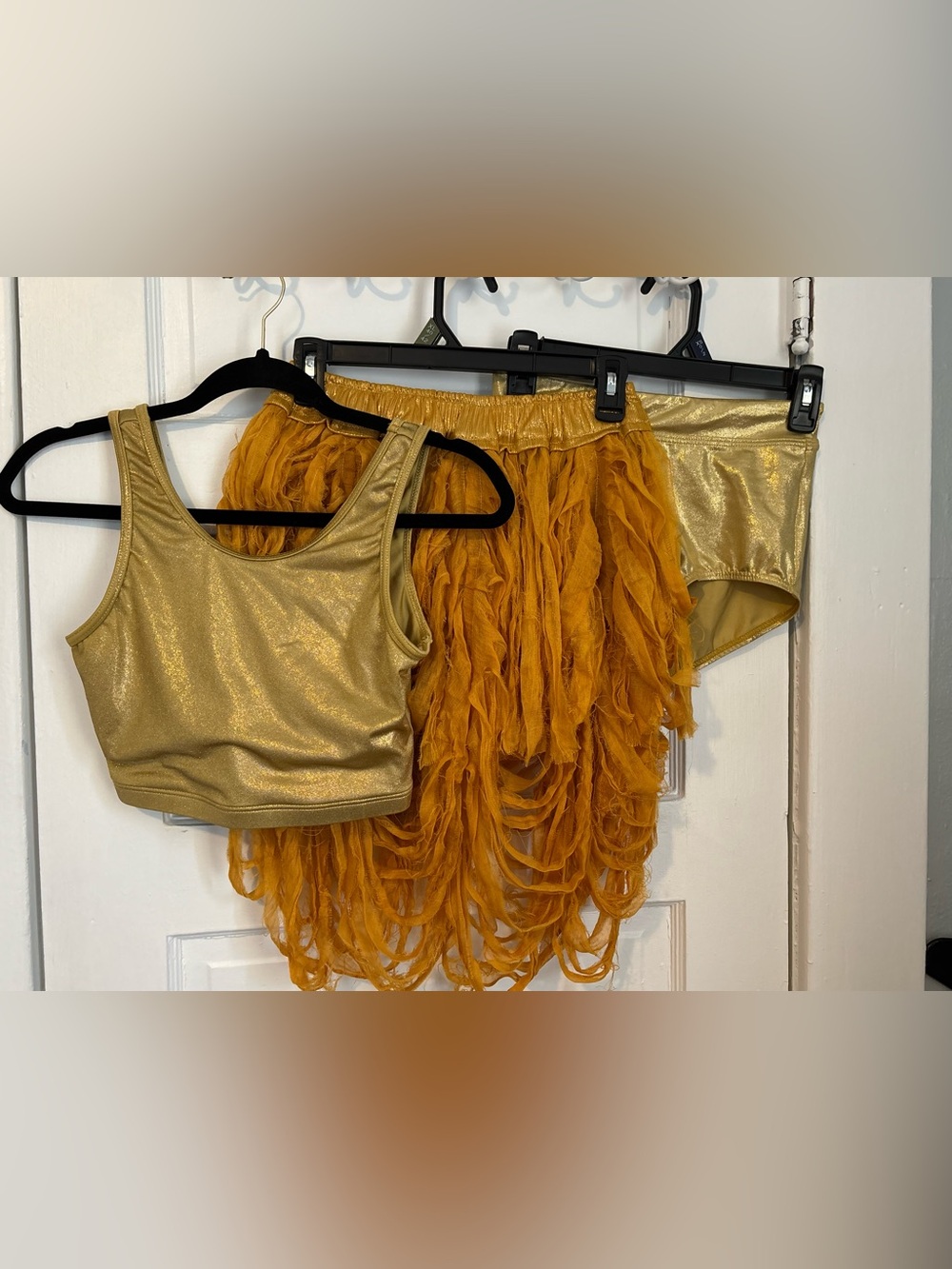One-of-a-Kind Contemporary Dance Costume – Balera & Custom Skirt